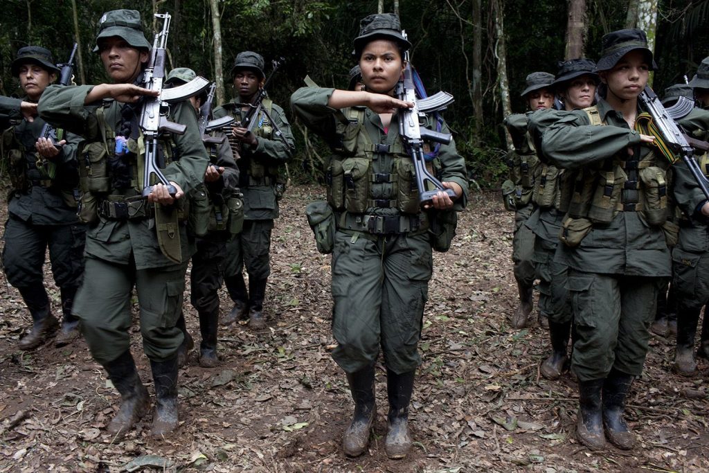 FARC in Meta